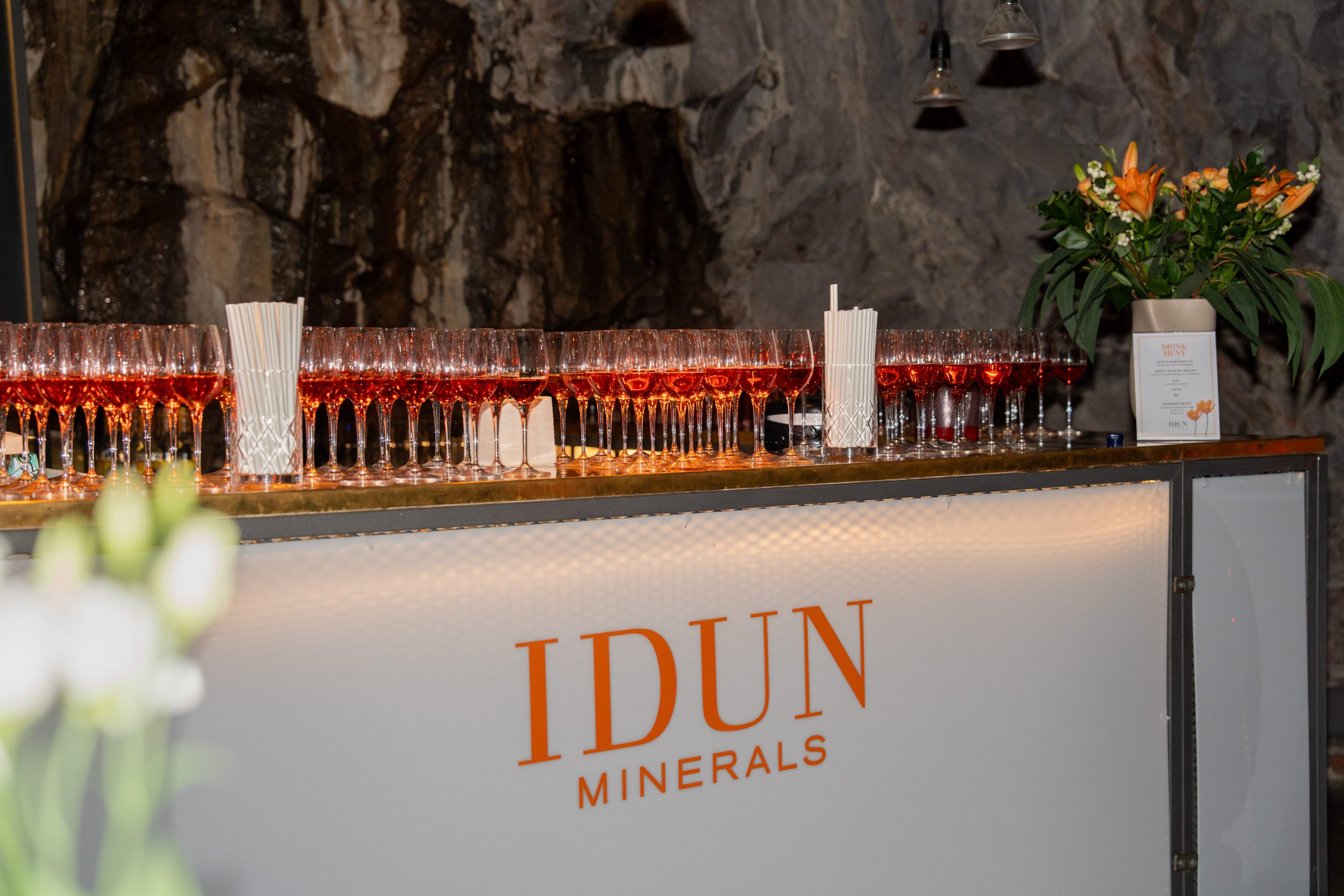 IDUN Minerals